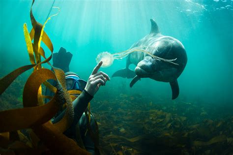 Discovering the Hidden Treasures of Underwater Magic